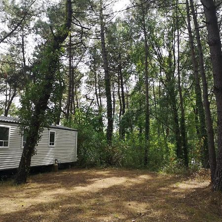 Le Ilo - Camping La Dune Blanche كاميير المظهر الخارجي الصورة